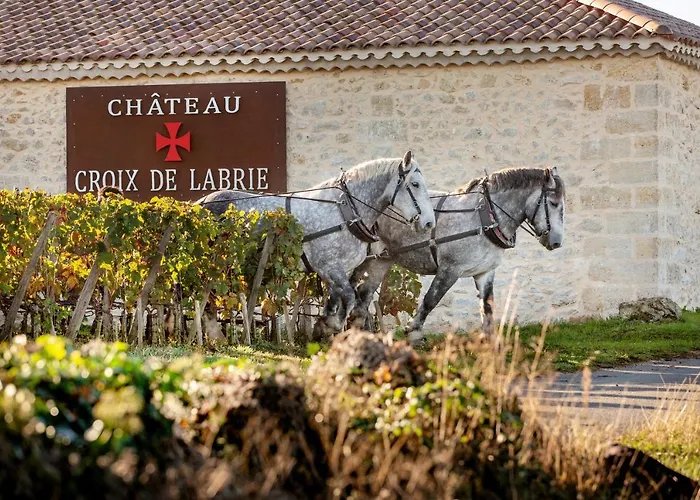 Chateau Croix De Labrie